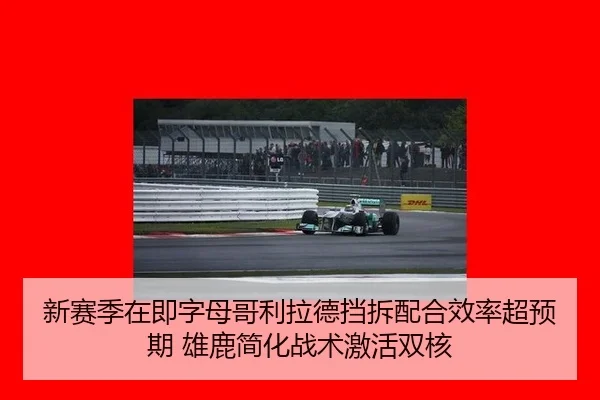 新赛季在即字母哥利拉德挡拆配合效率超预期 雄鹿简化战术激活双核